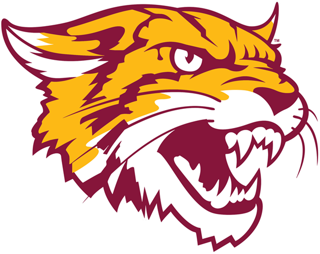 Bethune-Cookman Wildcats 2016-Pres Alternate Logo vinyl decal